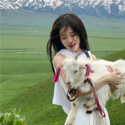 报告王爷，王妃是只猫2 在线观看